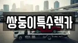 쌍둥이특수렉카