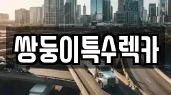 쌍둥이특수렉카