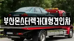 부산몬스터렉카대형견인차