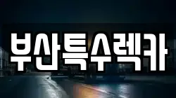 부산 북구 렉카, 특수렉카, 차량탁송, 견인운송