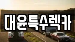 대윤특수렉카