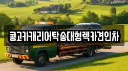 부산 서구 토성동3가 렉카, 특수렉카, 차량탁송, 견인운송