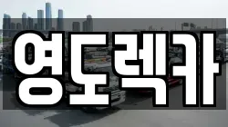 부산 영도구 신선동1가 렉카, 특수렉카, 차량탁송, 견인운송