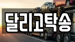 달리고탁송