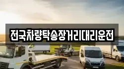전국차량탁송장거리대리운전