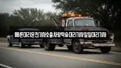 빠른대리운전기사호출차량탁송대리기사일일대리기사