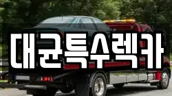 대균특수렉카