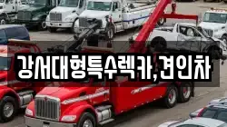서울특별시 강서구 개화동 렉카, 특수렉카, 차량탁송, 견인운송