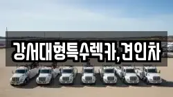 서울특별시 강서구 과해동 렉카, 특수렉카, 차량탁송, 견인운송