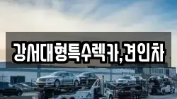 서울특별시 강서구 오쇠동 렉카, 특수렉카, 차량탁송, 견인운송