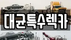 대균특수렉카