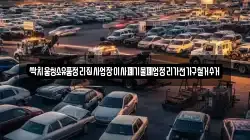 싹치움청소유품정리집사업장이사폐기물폐업정리가전가구철거수거