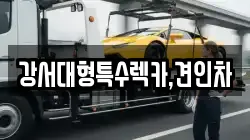 강서대형특수렉카,견인차