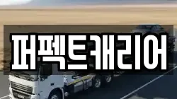 퍼펙트캐리어