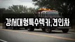 강서대형특수렉카,견인차