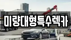 미량대형특수렉카