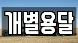 개별용달