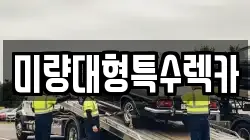 미량대형특수렉카