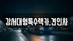 강서대형특수렉카,견인차