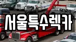 서울특수렉카