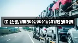 대리운전일일기사대리탁송차량탁송기사수행기사운전대행업체
