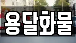 용달화물