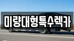 미량대형특수렉카