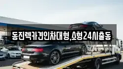 서울특별시 동작구 노량진동 렉카, 특수렉카, 차량탁송, 견인운송