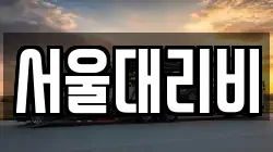 서울대리비