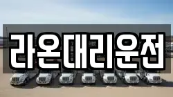 라온대리운전