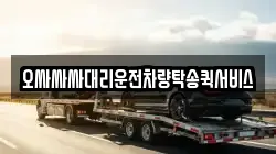 오싸싸싸대리운전차량탁송퀵서비스
