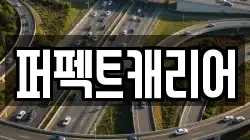 퍼펙트캐리어