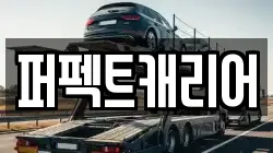 퍼펙트캐리어