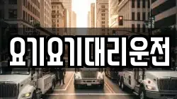 요기요기대리운전