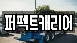 퍼펙트캐리어