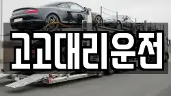고고대리운전
