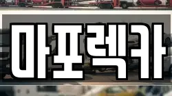 마포렉카