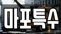 마포특수