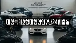 대성렉카소형대형견인구난24시출동
