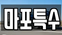 마포특수