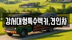 서울특별시 마포구 상수동 렉카, 특수렉카, 차량탁송, 견인운송