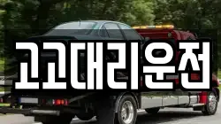 고고대리운전