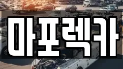 마포렉카