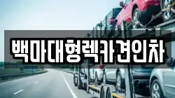 서울특별시 마포구 용강동 렉카, 특수렉카, 차량탁송, 견인운송