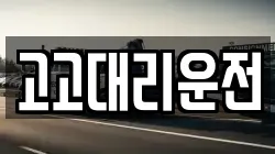 고고대리운전