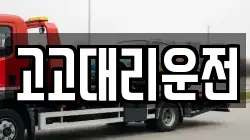 고고대리운전