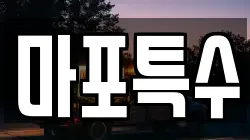 마포특수