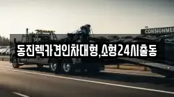 서울특별시 서대문구 미근동 렉카, 특수렉카, 차량탁송, 견인운송