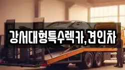 강서대형특수렉카,견인차
