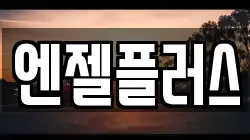 엔젤플러스